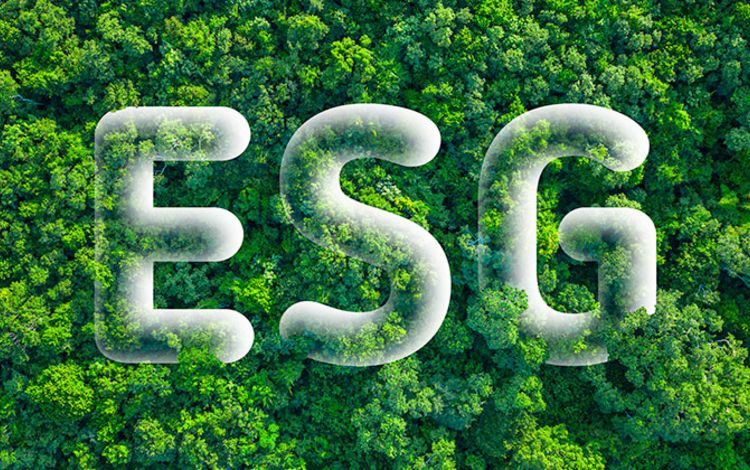 Ein grüner Wald von oben mit den Buchstaben ESG als Aufleger