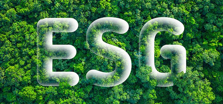 Ein grüner Wald von oben mit den Buchstaben ESG als Aufleger