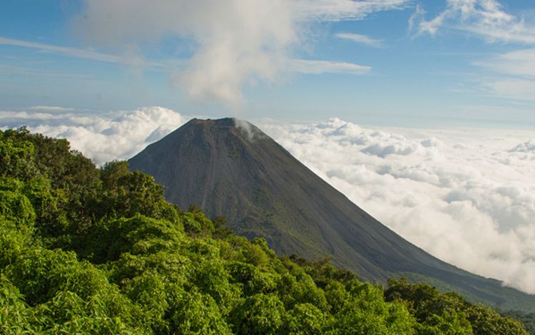 Vulkan Izalco im Nationalpark Cerro Verde in El Salvador