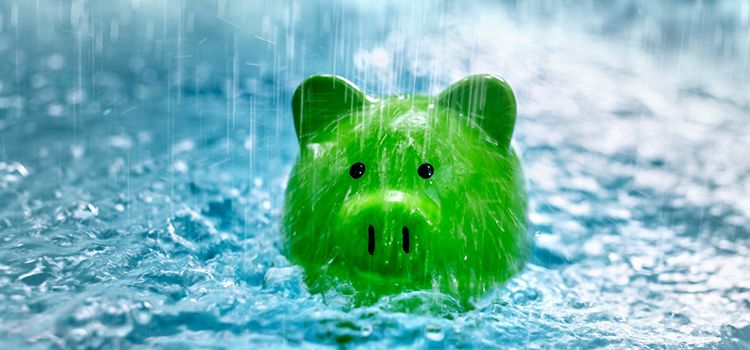 Ein grünes Sparschwein steht im Regen