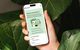 Smartphone mit aufgeschalteter App für einen 3a-Check
