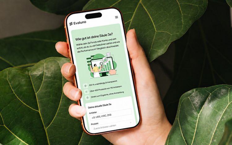 Smartphone mit aufgeschalteter App für einen 3a-Check