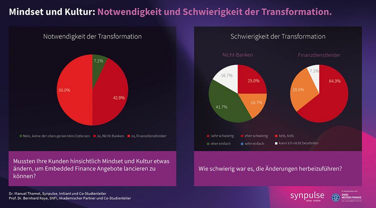 Grafik mit den Schwierigkeiten, die Enabler bei Embedded-Finanance-Projekten zu überwinden haben