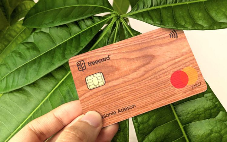 Debitkarte aus Holz von Ecosia und Treecard