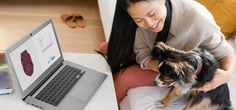 Junge Frau mit Hund auf Sofa beim Online-Shoppen