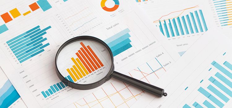 Studie mit Diagrammen und Zahlen