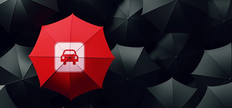 Ein roter Schirm inmitten von schwarzen Schirmen
