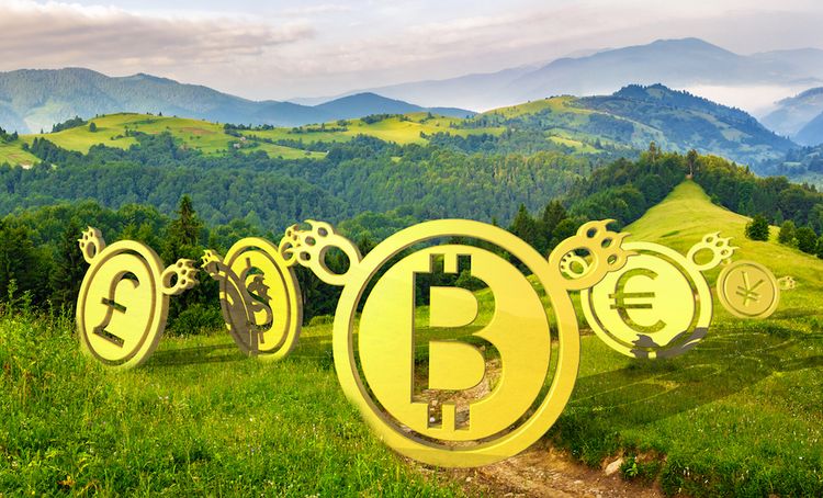 Das Crypto Valley