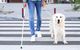 Mann mit Blindenstock und Blindenhund beim Überqueren einer Strasse