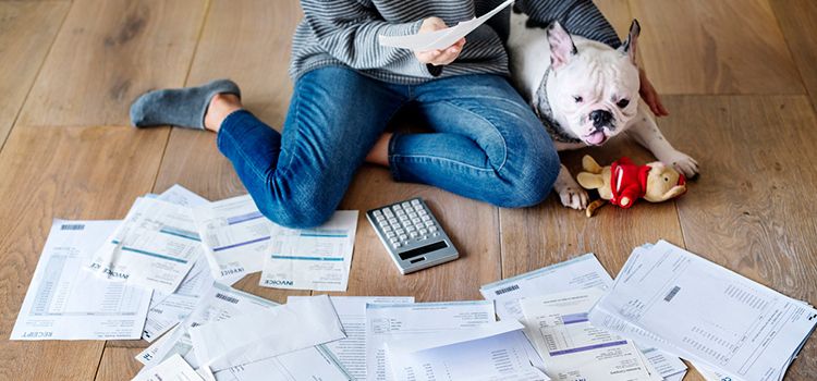 Frau mit Hund sortiert ihre Rechnungen auf dem Wohnzimmerboden