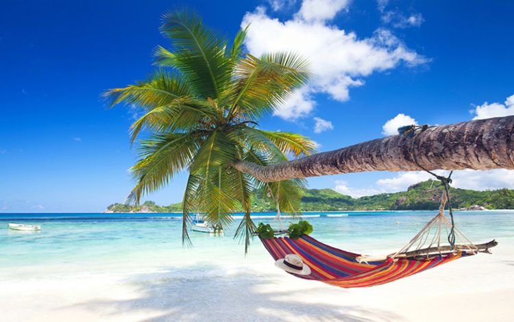 Hängematte an einem Sandstrand mit Palme