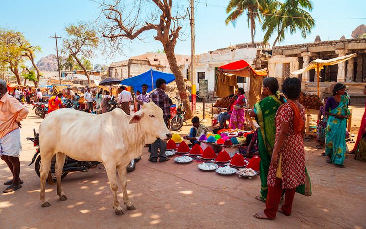 Markt in Indien