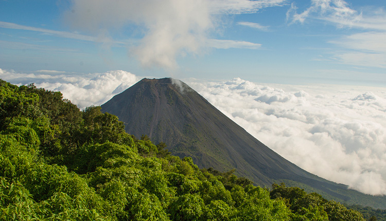 Vulkan Izalco im Nationalpark Cerro Verde in El Salvador