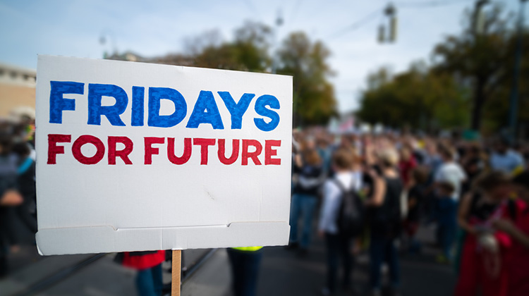 Demonstration der Klimajugend mit Schild im Vordergrund: Fridays for Future