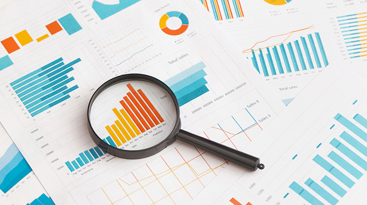 Studie mit Diagrammen und Zahlen