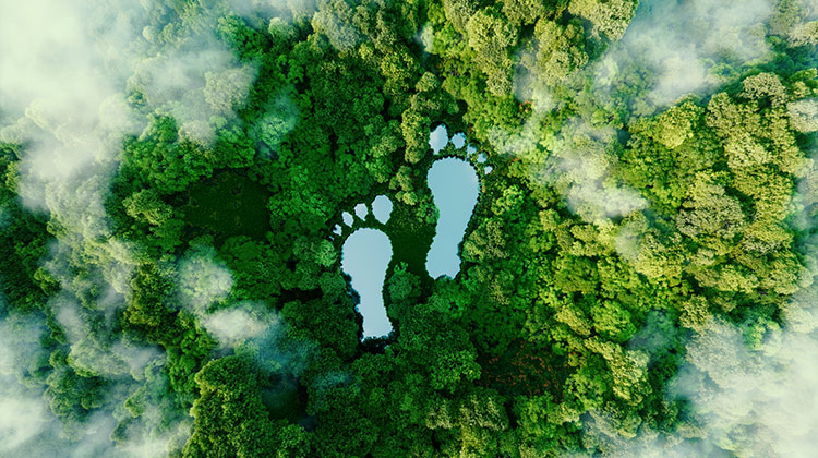 Grüner Wald von oben mit zwei Fussabdrücken als Symbol für den CO2-Fussabdruck